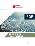 Süt Tesis Fizibilite PDF