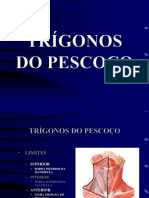 138998226-Pescoco-trigonos