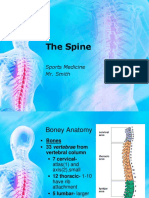 Spine Evaluation Powerpoint