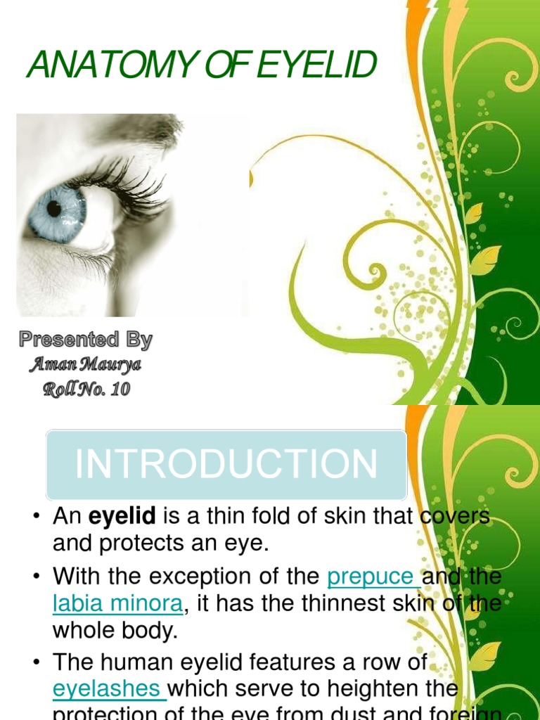 Anatomy and Function of the Eyelid | PDF | Human Anatomy | Human Head ...
