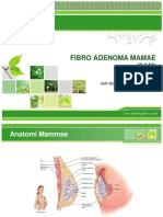 FIBRO ADENOMA MAMAE (FAM).pptx