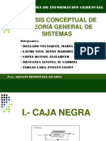 Teoria General de Sistemas