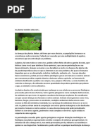 As Plantas Também Adoecem