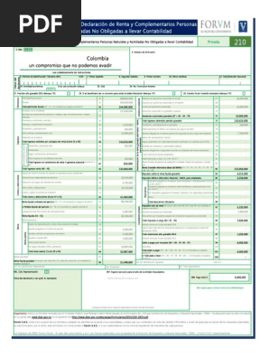 Formulario 210 pdf