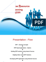 ERP Presentation: Options and Concepts