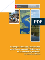 ESTUDIO_PAGO DE SERVICIOS AMBIENTALES.pdf