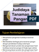 BUDAYA PANGAN LOKAL