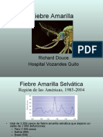 Fiebre Amarilla