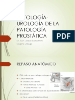 Histología-Urología de La Patología Prostática