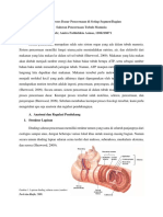 Empat Proses Dasar Pencernaan Di Setiap PDF