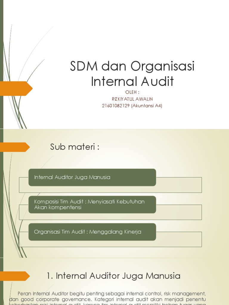 Sdm Dan Organisasi Internal Audit Pdf