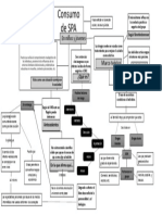 Mapa CONCEPTUAL Consumo de SPA