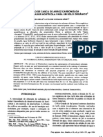 Utilização Da Casca de Arroz Carbonizada Como Condicionador Hortícola para Um Solo Orgânico