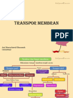 Transpor Membran