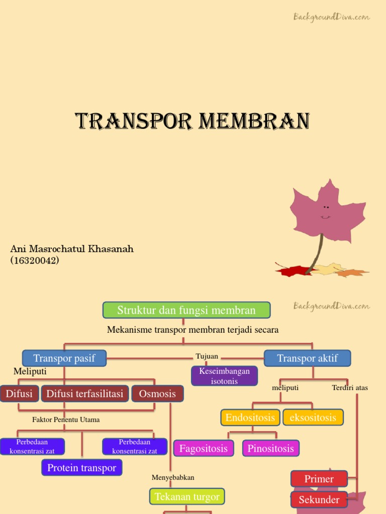 Transpor Membran | PDF
