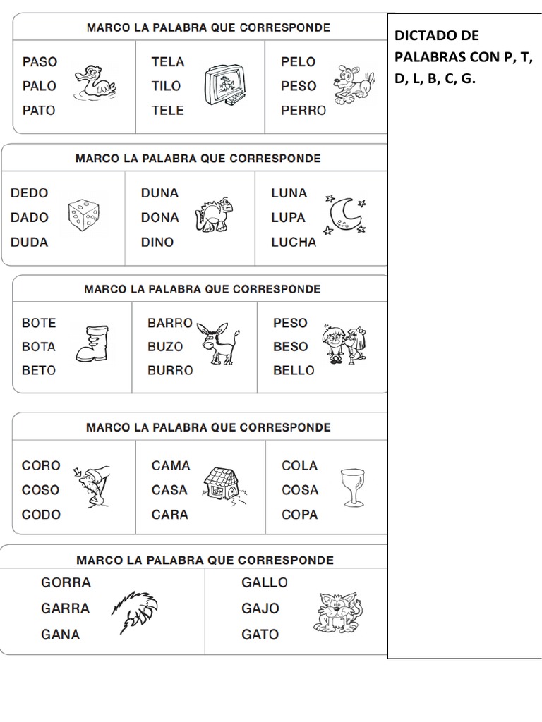 Dictado y actividades de lengua 1° grado | PDF | Artes del Lenguaje y ...