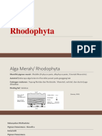 Rhodophyta