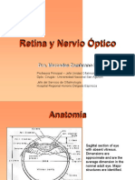 Retina y Nervio Óptico