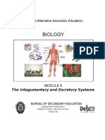 EASE Module 8 The Integumentary and Excretory Systems