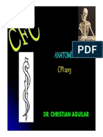 4CFC - Sistema Cardiovascular PDF