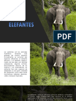 estudio elefantes