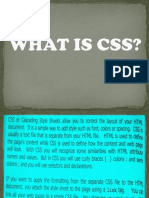 WHAT IS CSS