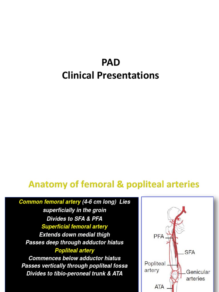 PAD Clinical Presentations PDF Stroke Ischemia