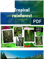 Tropical Rainforest: Presented by