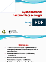 Cyanobacteria Taxonomía y Ecología