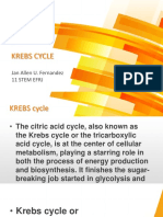 Krebs Cycle: Jan Allen U. Fernandez 11 Stem Efrj