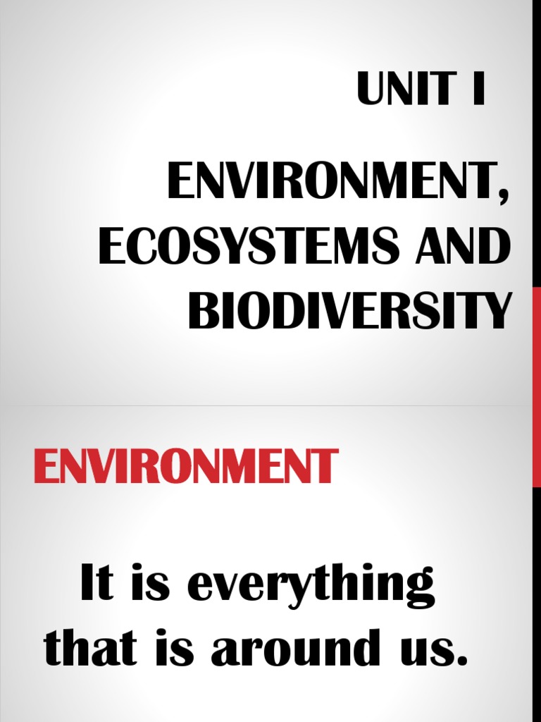 Environmental Hazards and Ecosystems Guide | PDF | Food Web | Forests
