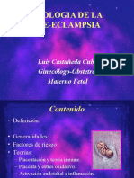 Etiologia de La Preeclampsia