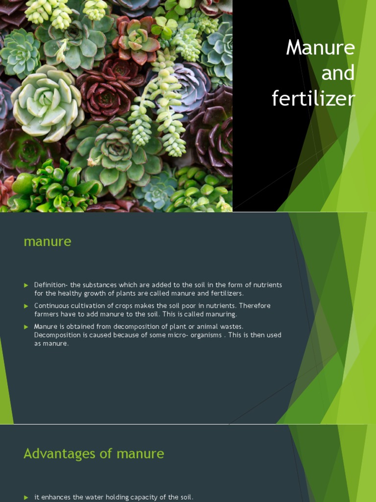 Manure vs. Fertilizers: Key Differences | PDF | Fertilizer | Organic ...