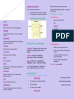 Triptico de Resumenes