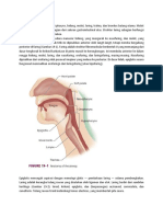 Manajemen Airway