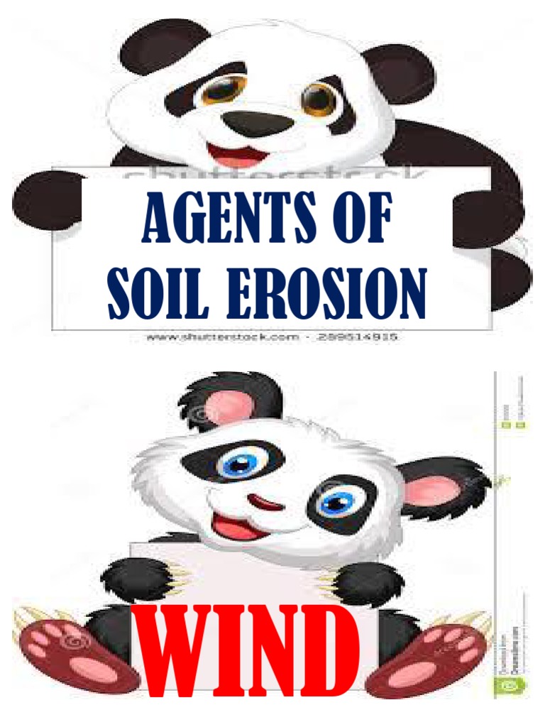 Agents of Soil Erosion PDF PDF