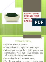Production of Ethanol From Micro Algae Spirulina