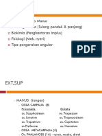 Anatomi Osteo Manus Histologi Osteo (Tulang Pendek & Panjang) Biokimia (Penghantaran Implus) Fisiologi (Mek. Nyeri) Tipe Pergerakan Angular