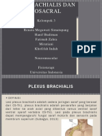 NEUROMUSCULAR Kel 3 (Plexus Brachialis Dan LumboSacral)