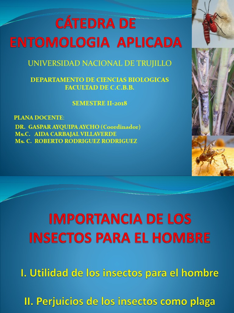 1° Clase Ent. Aplic. - Importancia de Los Insectos | PDF | Plaga
