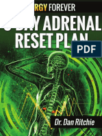 3 Day Adrenal Reset Plan PDF