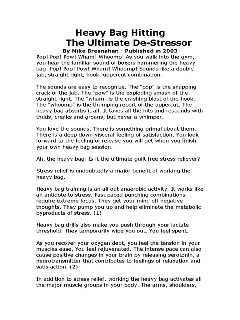 Heavy Bag Hitting PDF