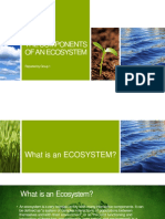 Group One Components of An Ecosystem