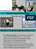 Endangered Species: The Rare Scare
