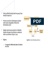 Streptokinase