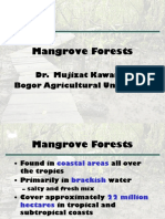 Mangrove Forests: Dr. Mujizat Kawaroe Bogor Agricultural University