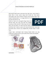 LAPORAN PENDAHULUAN Spleno PDF