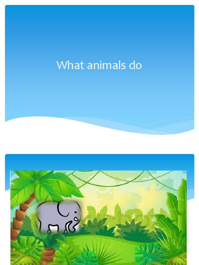Elephant Song | PDF