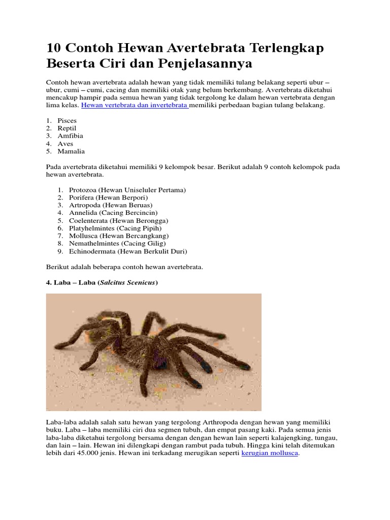 10 Contoh Hewan Avertebrata Terlengkap Beserta Ciri Dan Penjelasannya Pdf