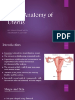 Gross Anatomy of Uterus: D R. Vibhash Kumar Vaidya Department of Anatomy